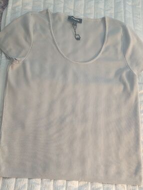 Express XL Short Sleeve Scoop Neck Knit Top in Silver